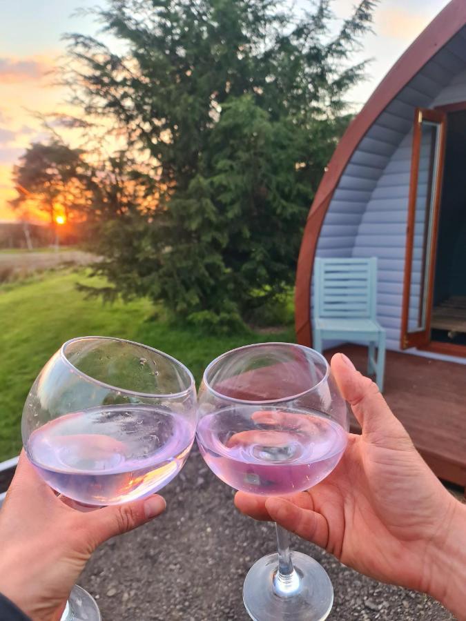 Delightful Camping Pod In Snowdonia, North Wales. Hotel Derwen Exterior foto