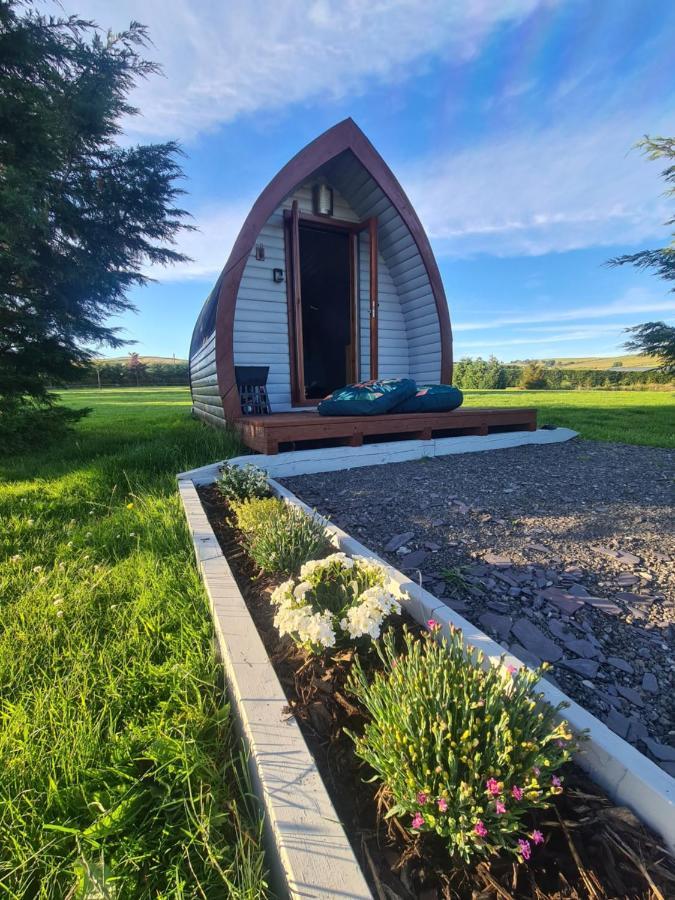Delightful Camping Pod In Snowdonia, North Wales. Hotel Derwen Exterior foto